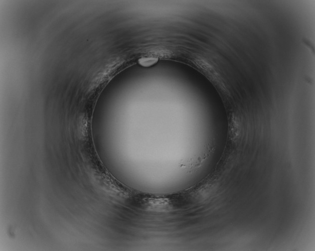 X0000101990355200807181153