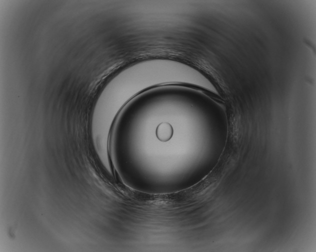 X0000101990356200807181153