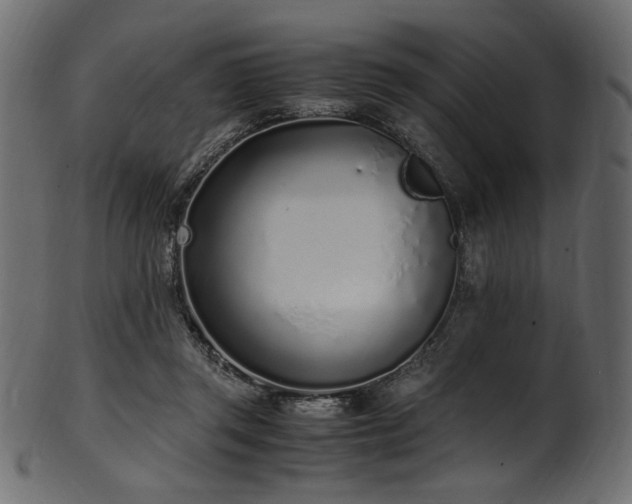 X0000101990357200807181153