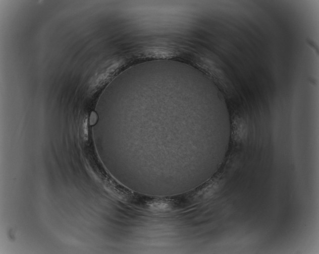 X0000101990358200807181153
