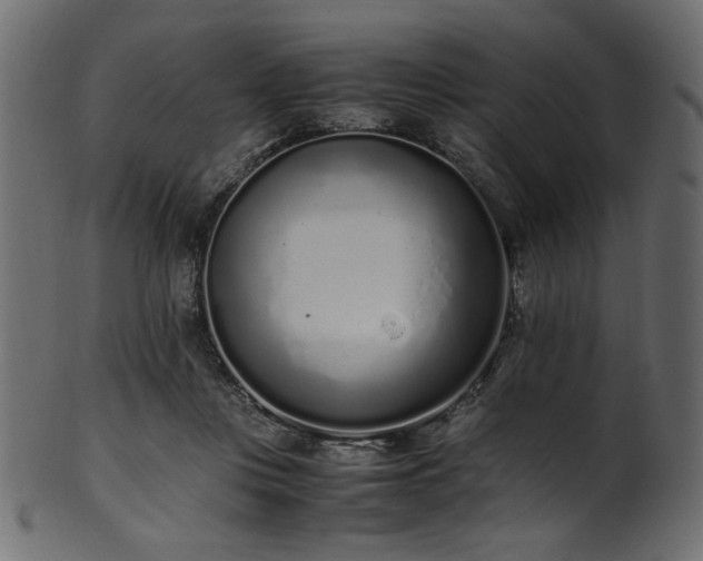 X0000101990359200807181153