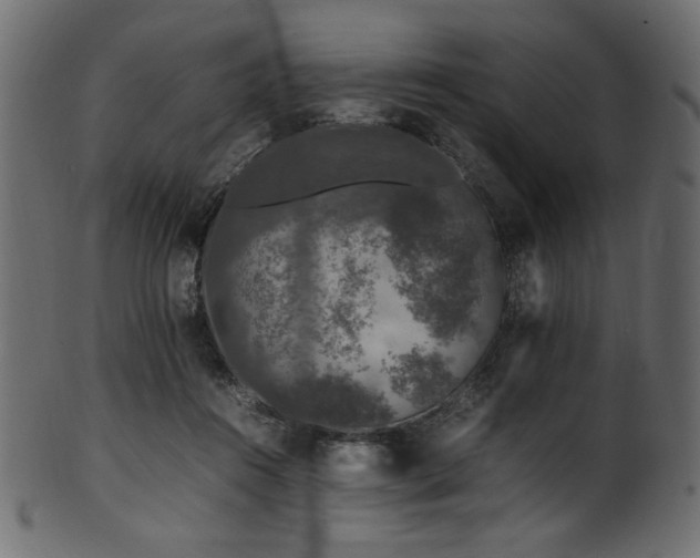 X0000101990360200807181153