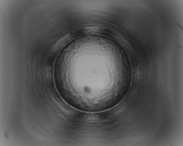 X0000101990361200807181153