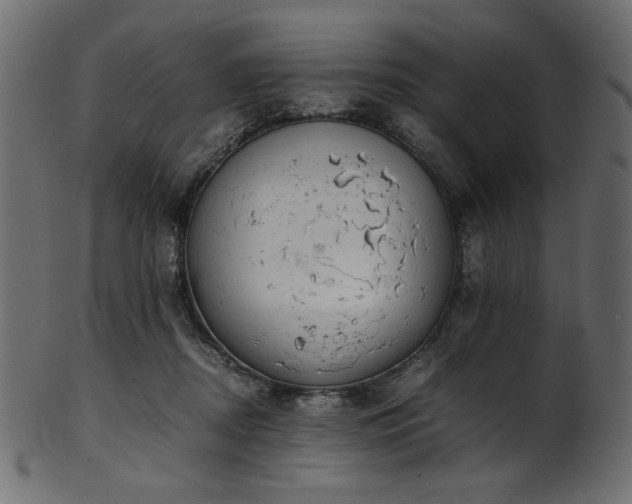 X0000101990362200807181153