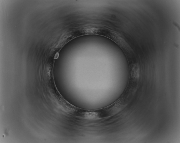 X0000101990363200807181153