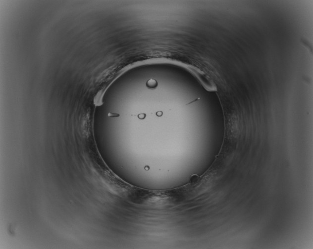 X0000101990364200807181153