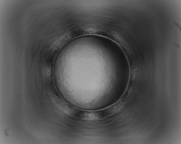 X0000101990365200807181153