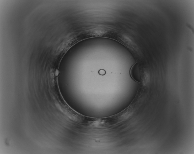 X0000101990366200807181153