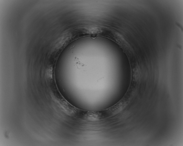 X0000101990368200807181153