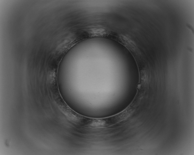 X0000101990369200807181153