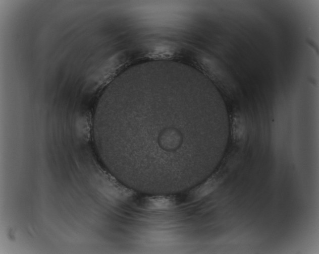 X0000101990370200807181153