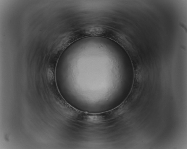 X0000101990371200807181153