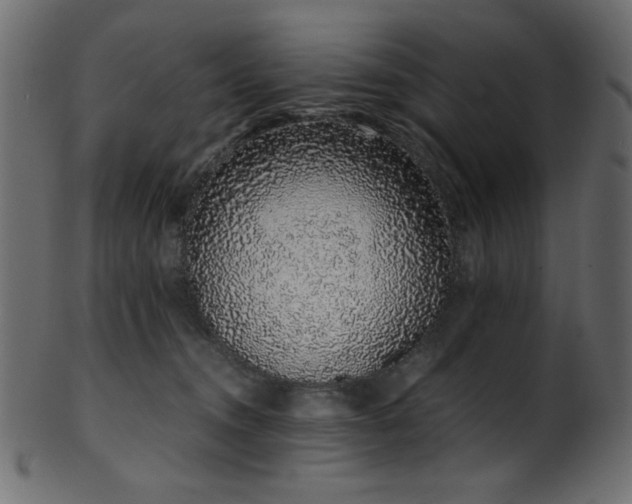 X0000101990372200807181153