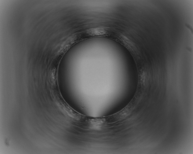 X0000101990373200807181153