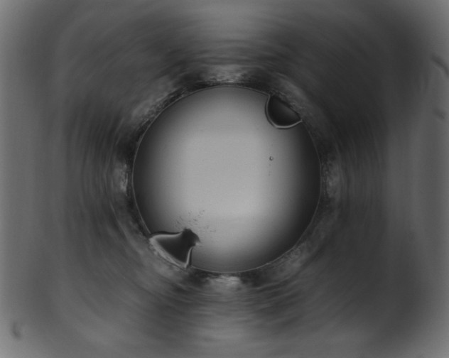 X0000101990374200807181153