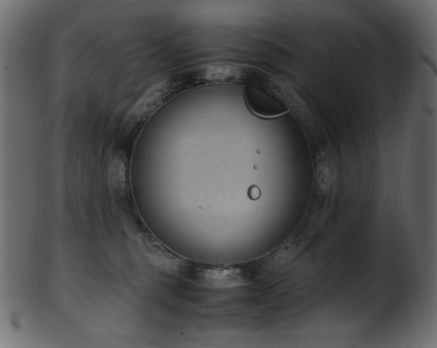 X0000101990375200807181153