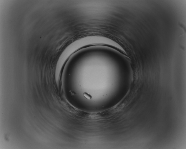 X0000101990376200807181153