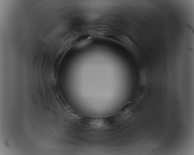 X0000101990377200807181153