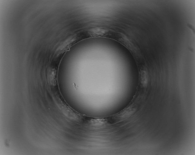 X0000101990378200807181153