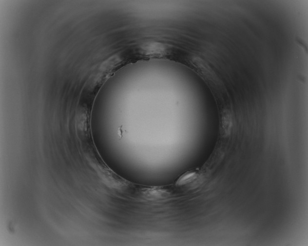 X0000101990379200807181153