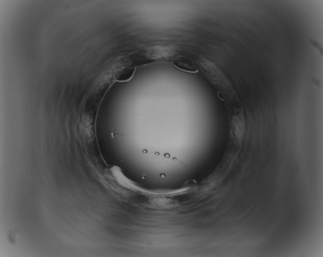 X0000101990380200807181153