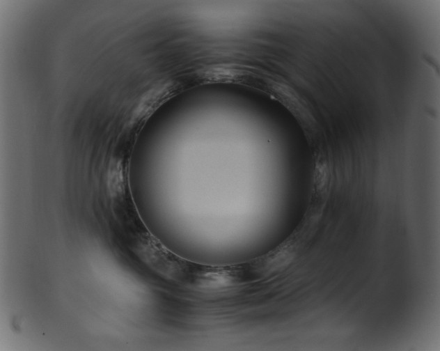 X0000101990381200807181153