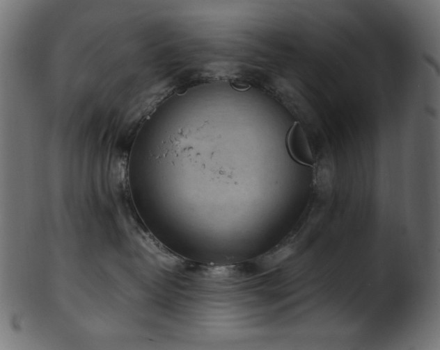 X0000101990382200807181153