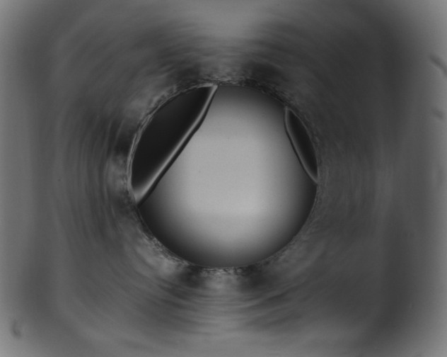 X0000101990384200807181153