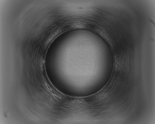 X0000101990386200807181152