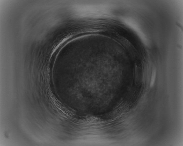 X0000101990387200807181152