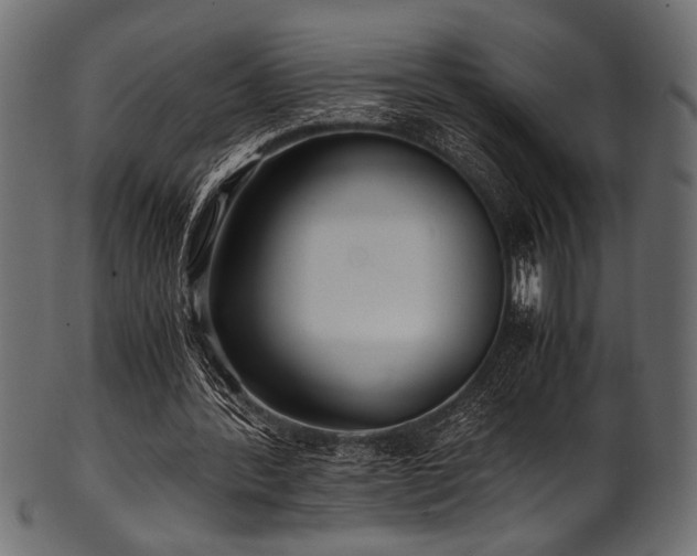 X0000101990388200807181152