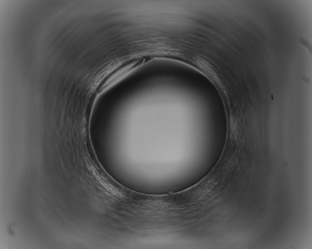 X0000101990389200807181152