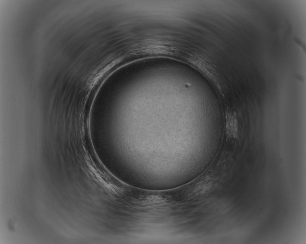 X0000101990390200807181152