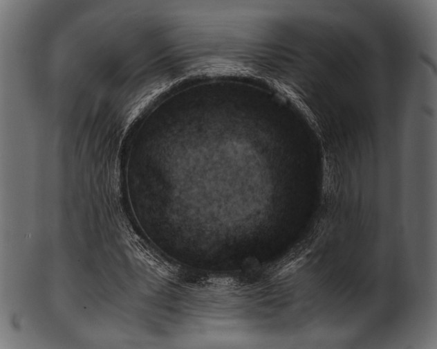 X0000101990391200807181152