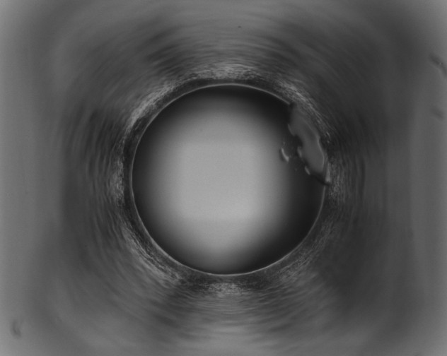 X0000101990392200807181152