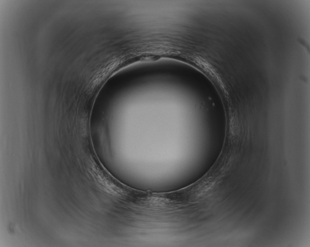 X0000101990393200807181152
