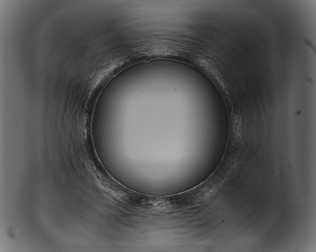 X0000101990395200807181152