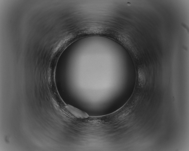 X0000101990396200807181152