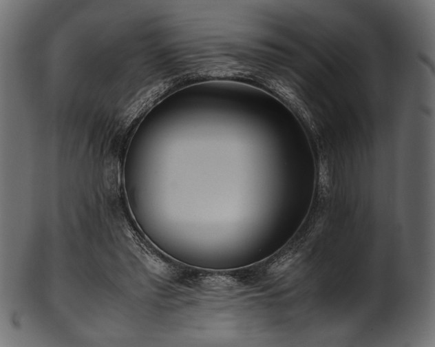X0000101990397200807181152