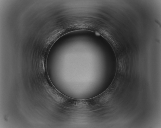 X0000101990398200807181152