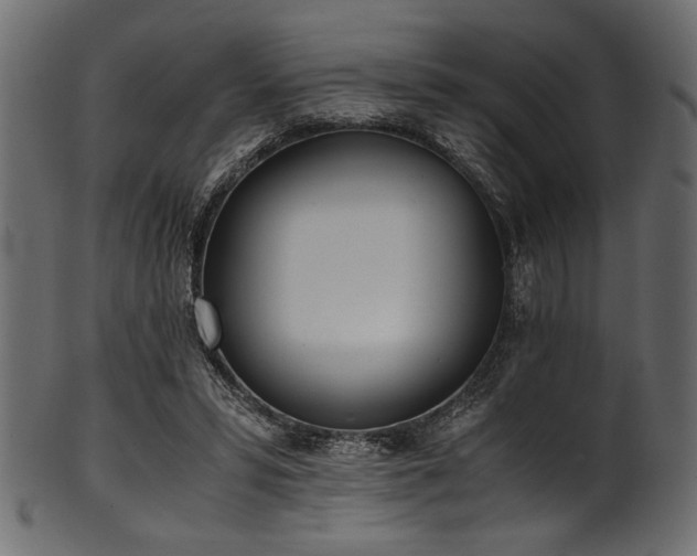 X0000101990399200807181152