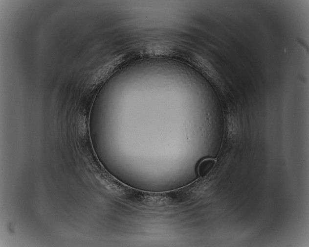 X0000101990401200807181152