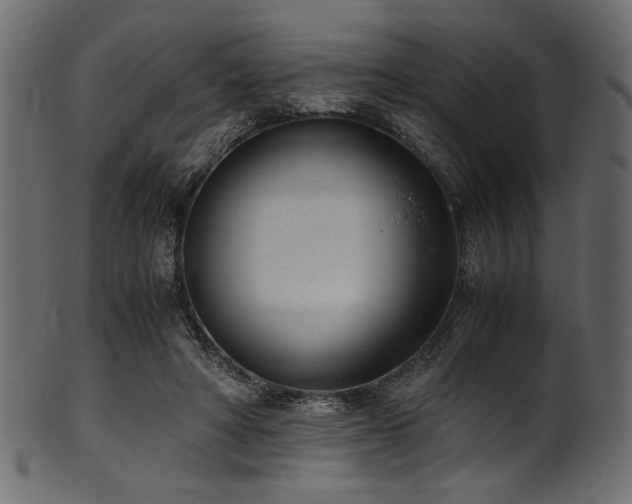 X0000101990402200807181152