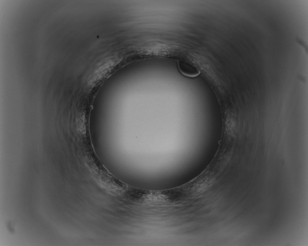 X0000101990403200807181152