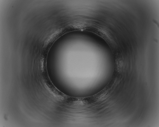 X0000101990404200807181152