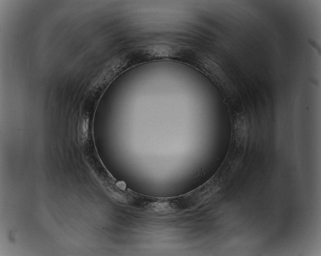 X0000101990406200807181152