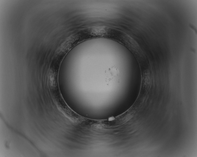 X0000101990408200807181152
