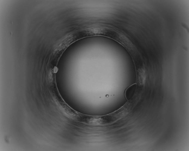 X0000101990410200807181152