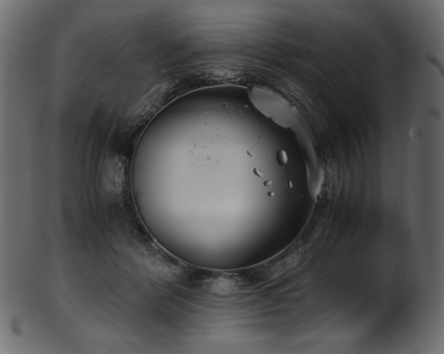 X0000101990412200807181152