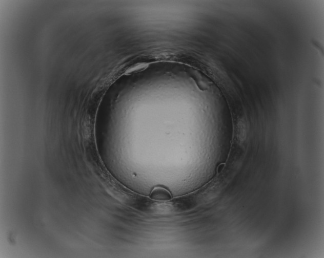 X0000101990413200807181152
